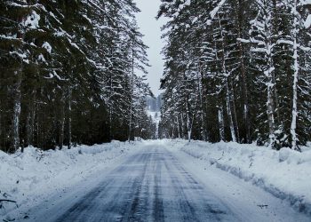 Doğu Karadeniz’de Kar Alarmı! 675 Köy ve Mahalle Yolu Ulaşıma Kapandı