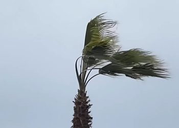 Ardeşen’de Fırtınalı Hava