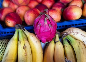 Ardeşen’de Ejder Meyvesi 100 ₺’den satışta