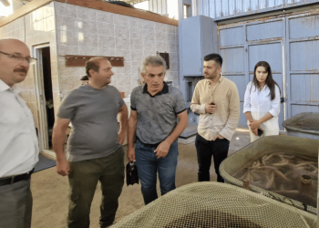 Ardeşen’de su ürünleri çiftlik yönetimi eğitimi gerçekleştirildi