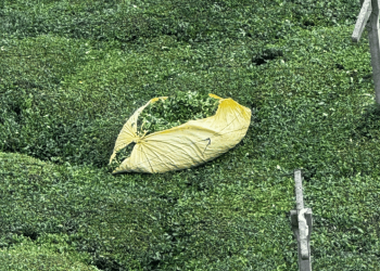 Çaykur’dan “çayımıza sahip çıkalım” mesajı