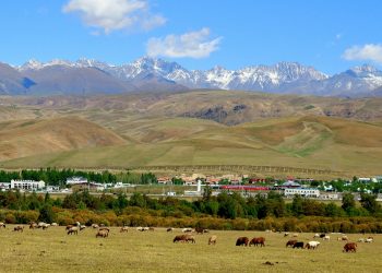 İl Mera Komisyonu Rize’de otlatma sezonunu sonlandırdı