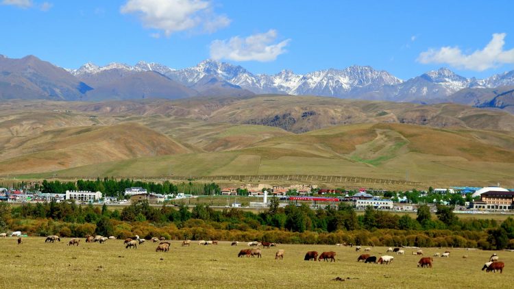 İl Mera Komisyonu Rize’de otlatma sezonunu sonlandırdı