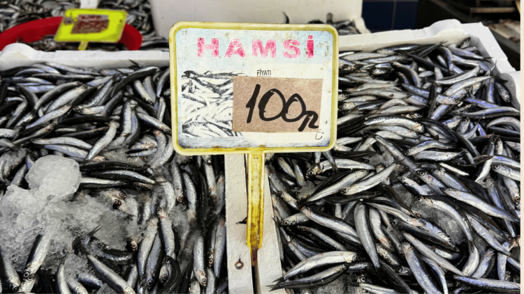 Hamsi karaya vurdu: Kilosu 100 ₺