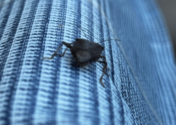 Işıklı Mahalle Muhtarı’ndan uyarı!