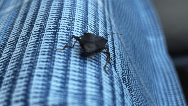 Işıklı Mahalle Muhtarı’ndan uyarı!