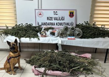Rize Jandarma’dan uyuşturucuya geçit yok