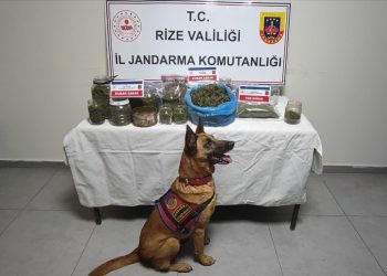 Güneysu’da yapılan operasyonda 2 kilo 471 gram kubar esrar ele geçirildi
