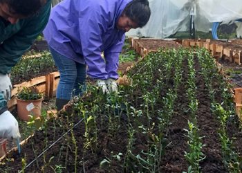 Fındıklı Belediyesi: “Ne yapmadık?”