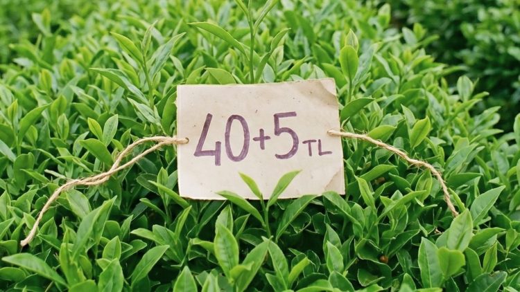 Fındıklı’da Çay Üreticisi Meydana İniyor: “Emeğimizin Karşılığını İstiyoruz”