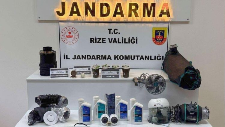Rize Jandarmasından Geniş Çaplı Operasyon: Çok Sayıda Gözaltı ve Tutuklama