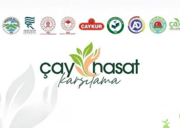 Ardeşen’de “Çay Hasat Karşılama Programı” Düzenlenecek