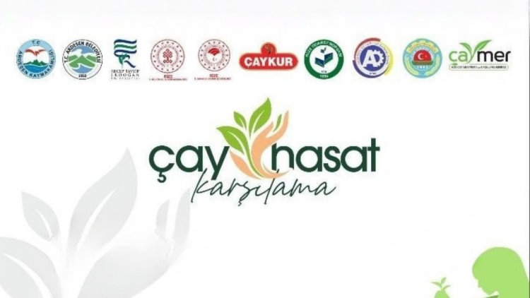Ardeşen’de “Çay Hasat Karşılama Programı” Düzenlenecek