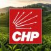 CHP Rize İl Başkanlığı: “Açıklanan Yaş Çay Fiyatını Kabul Etmiyoruz!”