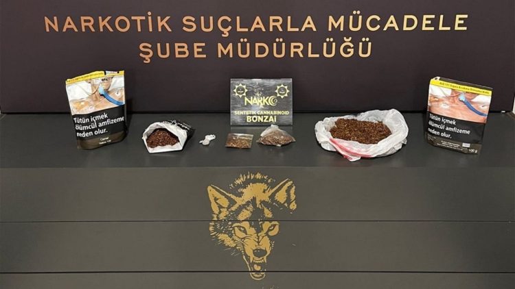 Rize’de Uyuşturucu Operasyonu: 10 Tutuklama