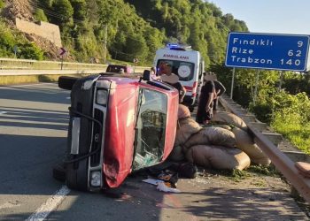 Arhavi’de çay yüklü kamyonet devrildi: 1 yaralı